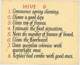 Hive 8 description